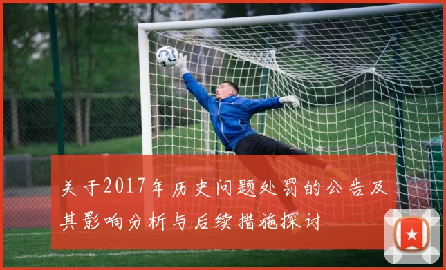 关于2017年历史问题处罚的公告及其影响分析与后续措施探讨