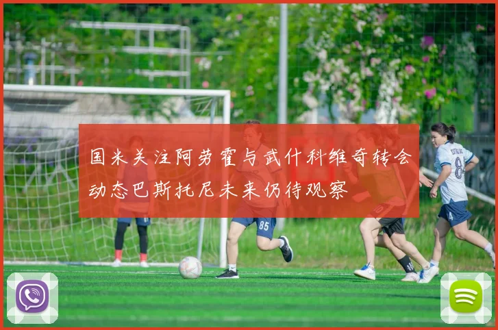 国米关注阿劳霍与武什科维奇转会动态巴斯托尼未来仍待观察